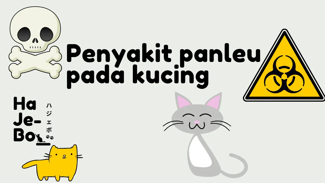 Bahaya Penyakit Panleu atau Distemper pada Kucing