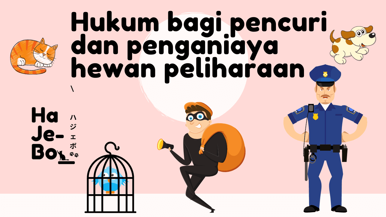 Hukum dan pasal pidana pencuri dan penganiaya hewan peliharaan
